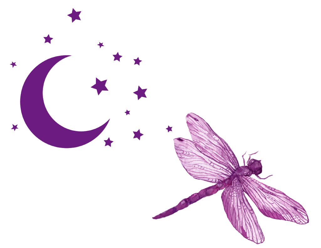 dragonflyabq.com